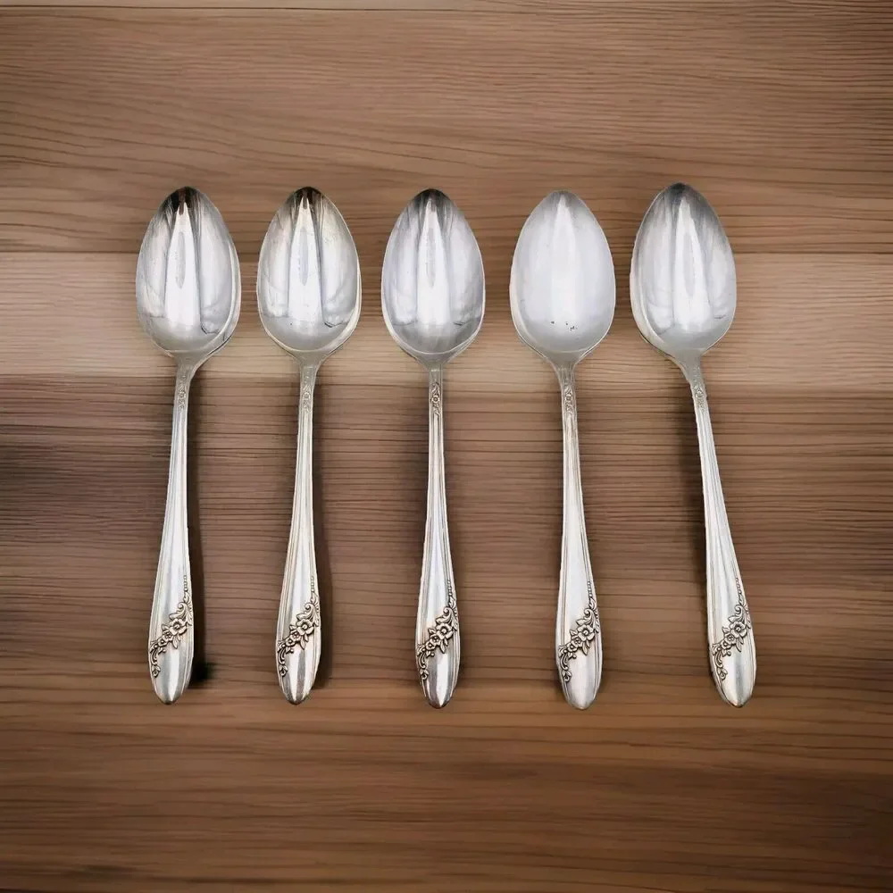 5 pc Oneida Community Queen Bess II SERVING Spoon 8.25